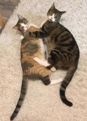 Benno und Leni im neuen Zuhause