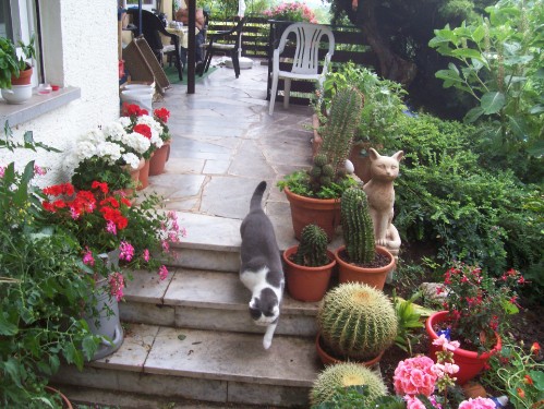 Bild aus dem Vereinsarchiv